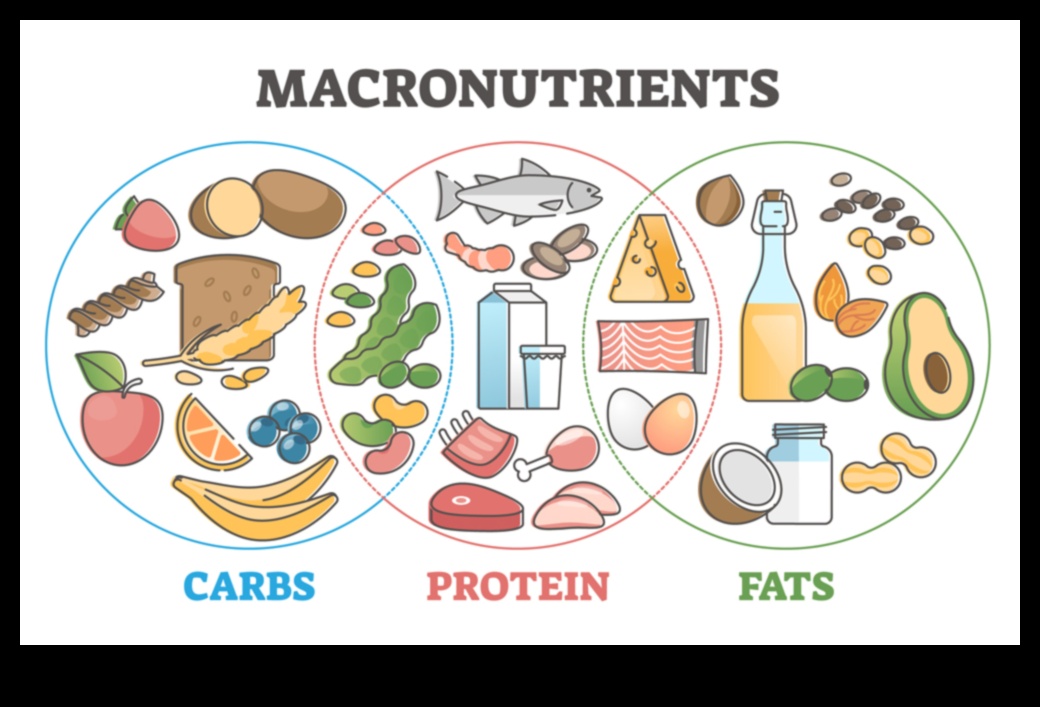 Ισορροπημένη διαβίωση Ο ουσιαστικός ρόλος των μακροθρεπτικών συστατικώνΠώς να τρώτε μια υγιεινή διατροφή και να διατηρείτε ένα υγιές βάρος 3 Ισορροπημένη διαβίωση: Ο ουσιαστικός ρόλος των μακροθρεπτικών συστατικών