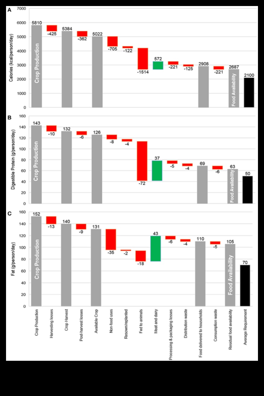 Πέρα από τις θερμίδες Η κρυφή θρεπτική αξία των τροφίμων 4 Πέρα από τις θερμίδες: Κατανόηση της πραγματικής διατροφικής αξίας