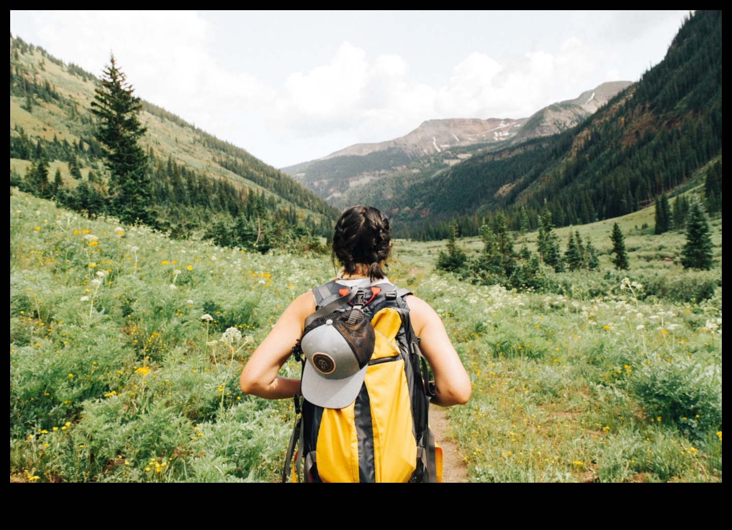 Design Mavericks: Trailblazing in the World of Architectural Arts