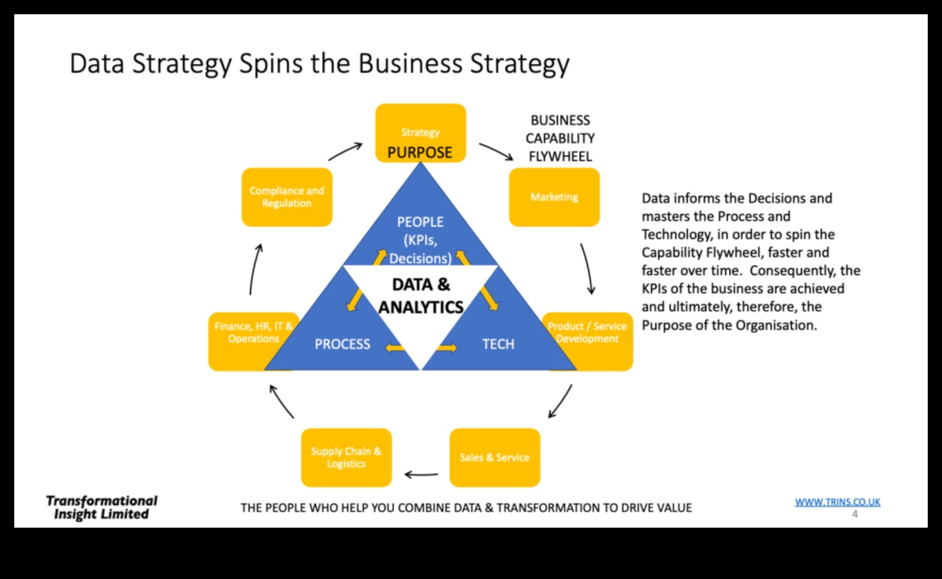 From Vision to Victory: Strategies for Effective Business Data Insights