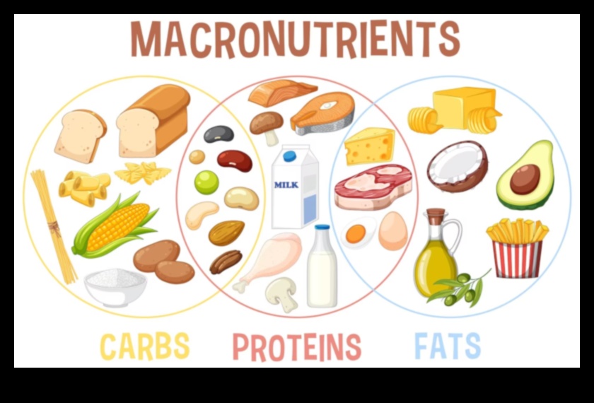 Αποκαλύφθηκαν τα μακροθρεπτικά συστατικά: Οικοδόμηση μιας ισορροπημένης διατροφής