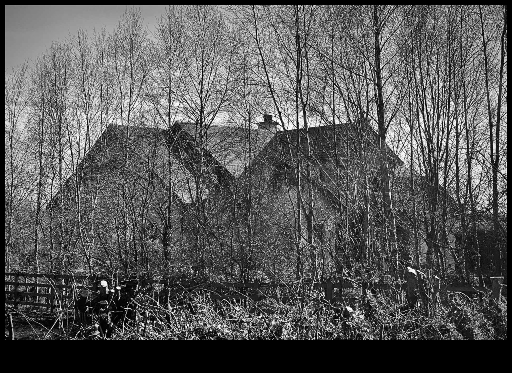 Ρεαλισμός σε μαύρο και άσπρο Η διαχρονική δύναμη του μονόχρωμου 3 Realism in Black and White: The Timeless Power of Monochrome