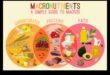 Macronutrient Symphony: Harmonizing Health Through Nutrition