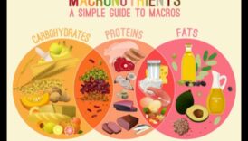 Macronutrient Symphony: Harmonizing Health Through Nutrition