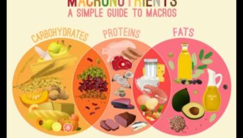 Macronutrient Symphony: Harmonizing Health Through Nutrition