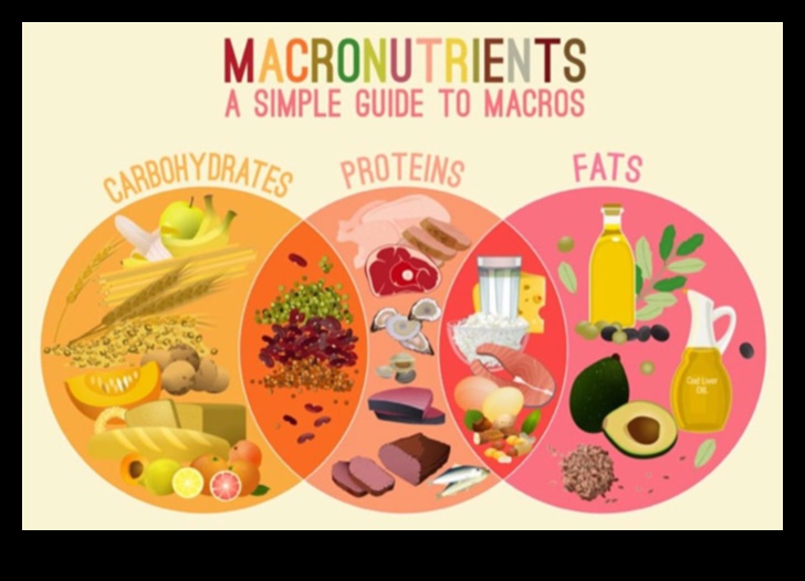 Macronutrient Symphony Μια ισορροπημένη διατροφή για μια υγιή ζωή 1 Macronutrient Symphony: Harmonizing Health Through Nutrition