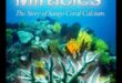 Mineral Wonders: A Deep Dive into the Miracles of Essential Elements