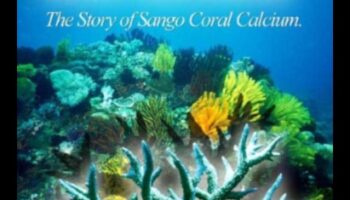 Mineral Wonders: A Deep Dive into the Miracles of Essential Elements