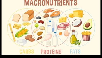 Ισορροπημένη διαβίωση: Ο ουσιαστικός ρόλος των μακροθρεπτικών συστατικών