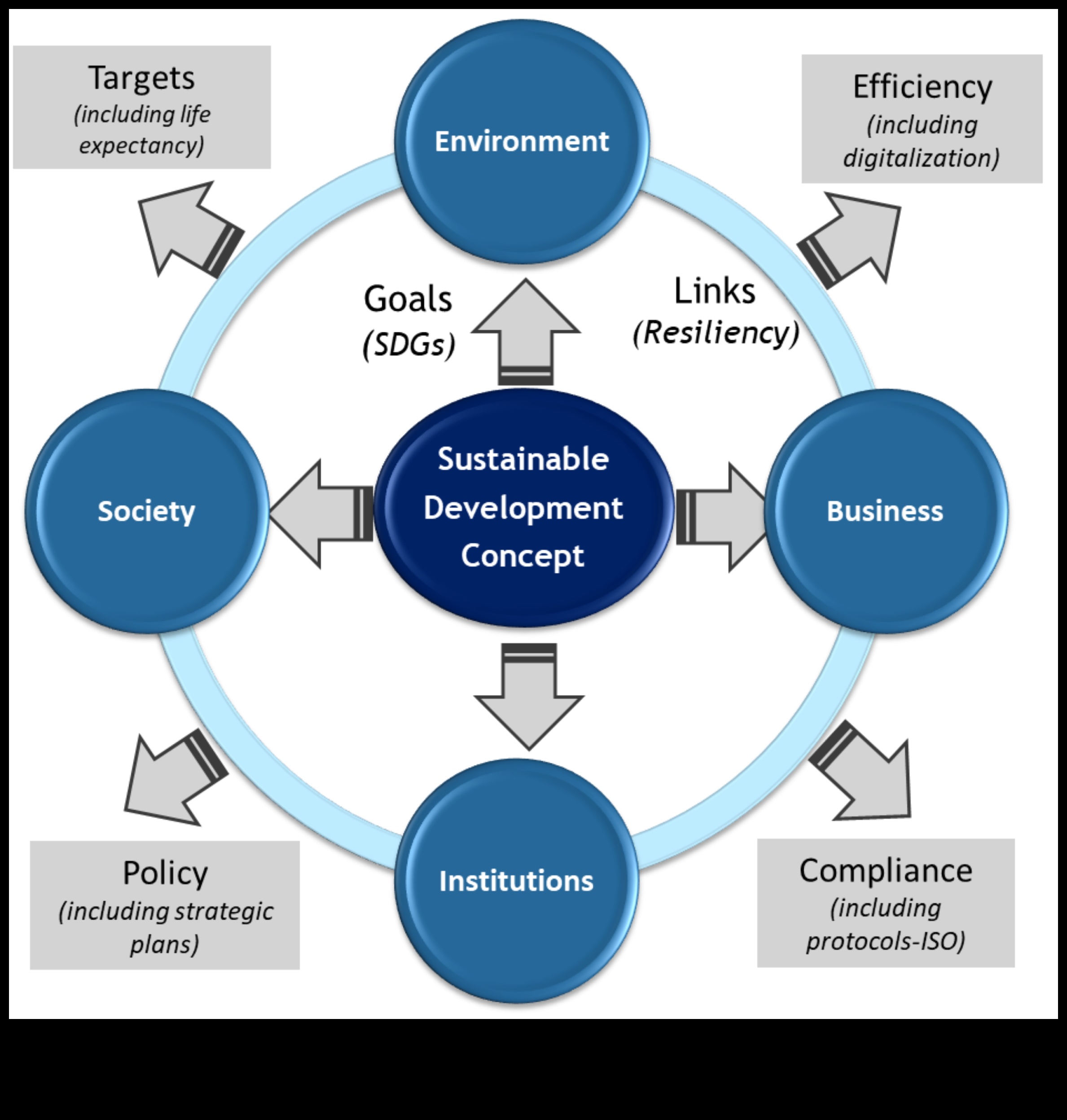 Στρατηγικές για τη βιώσιμη ανάπτυξη Η επιχειρηματική σοφία στη μοντελοποίηση 1 Strategies for Sustainable Growth: Business Wisdom in Modeling